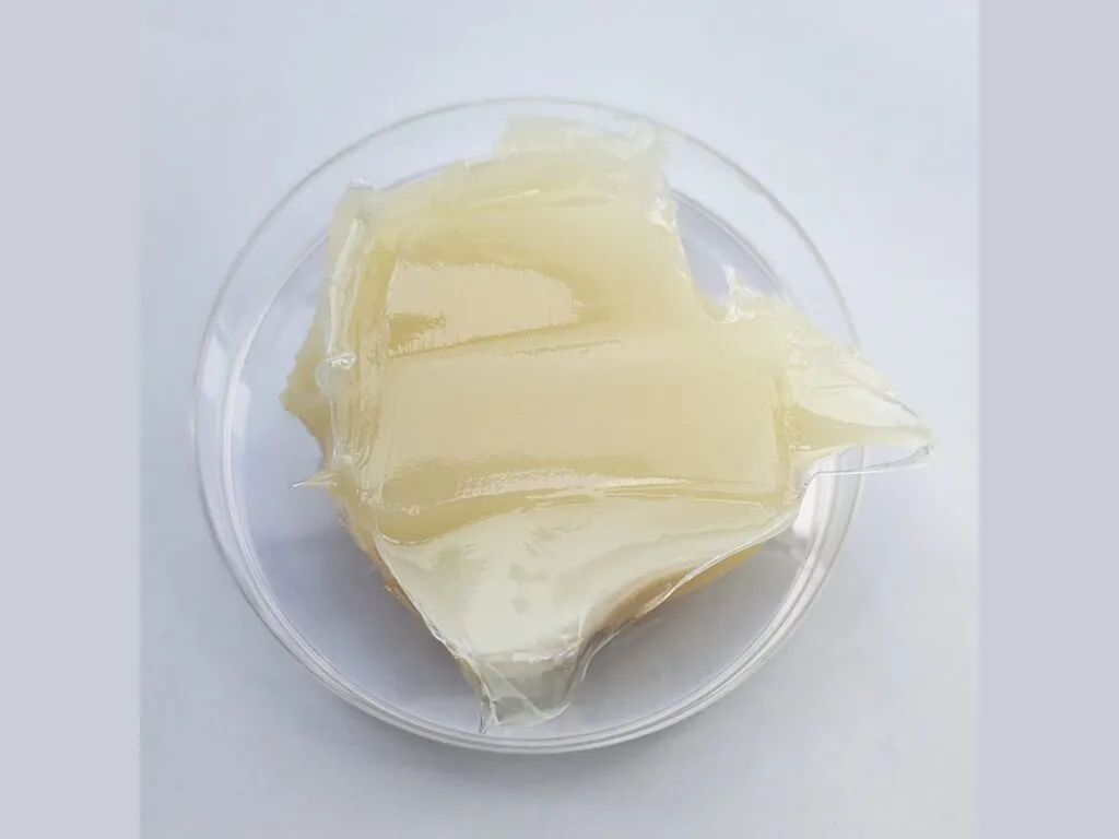 Mỡ thực phẩm: Mỡ trắng kem hơi trong trải trên đĩa thủy tinh, nhìn từ trên